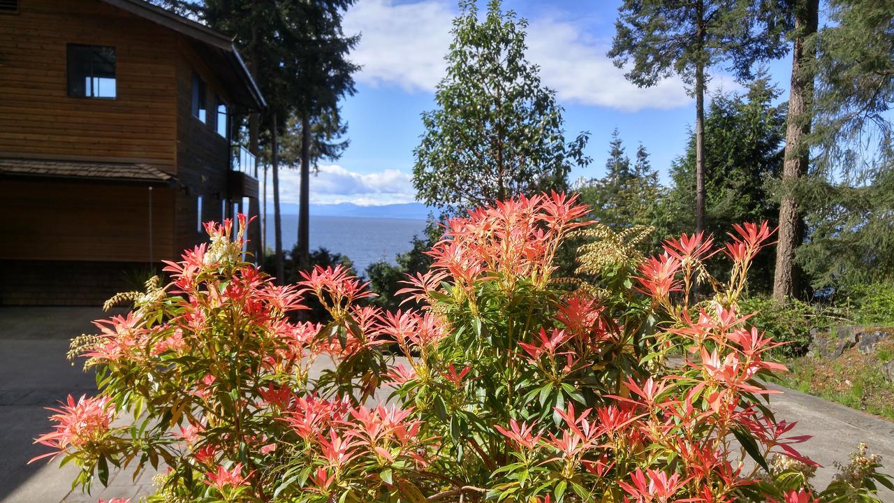 Sunshine Coast Treetop B&B Сешелт Екстериор снимка