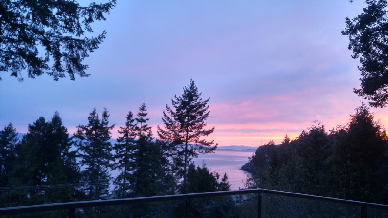 Sunshine Coast Treetop B&B Сешелт Екстериор снимка