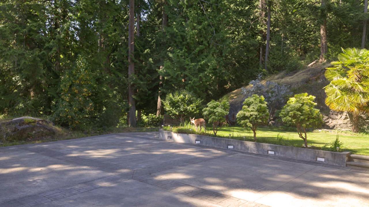 Sunshine Coast Treetop B&B Сешелт Екстериор снимка