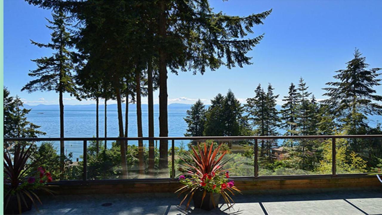 Sunshine Coast Treetop B&B Сешелт Екстериор снимка